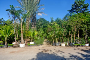 LOT BETWEEN DIAGONAL 65 AND 75 SOUTH WITH 21 SOUTH ST AND 19 BIS SOUTH ST, WITH