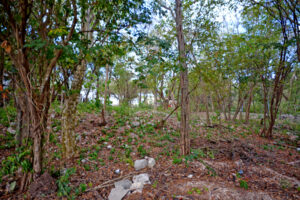 LOT BETWEEN DIAGONAL 65 AND 75 SOUTH WITH 21 SOUTH ST AND 19 BIS SOUTH ST, WITH