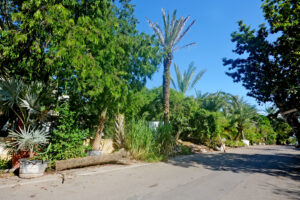 LOT BETWEEN DIAGONAL 65 AND 75 SOUTH WITH 21 SOUTH ST AND 19 BIS SOUTH ST, WITH