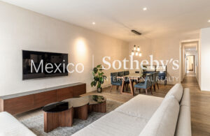 Jalapa 91 con Rooftop