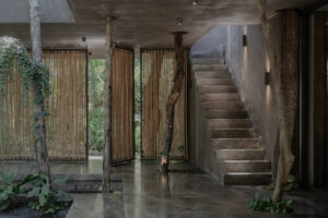 ECO JUNGLE SUSTAINABLE CONDOS