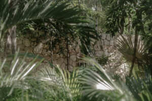 ECO JUNGLE SUSTAINABLE CONDOS