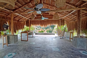 Oasis of the Sun