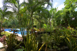 VILLA SOUL OF THE JUNGLE