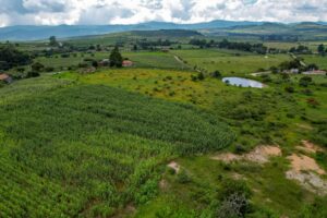 Land for Sale at Tapalpa, Near La Frontera