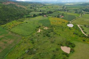 Land for Sale at Tapalpa, Near La Frontera