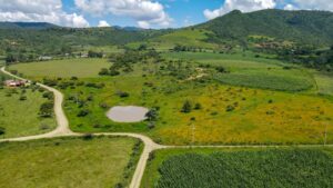 Land for Sale at Tapalpa, Near La Frontera