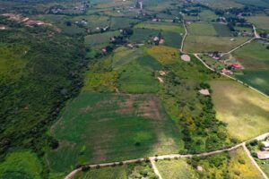 Land for Sale at Tapalpa, Near La Frontera