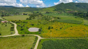 Land for Sale at Tapalpa, Near La Frontera