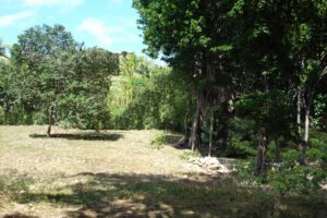DEVELOPMENT PARCEL IN PREMIUM LOCATION IN DOWNTOWN STEPS FROM THE BEACH