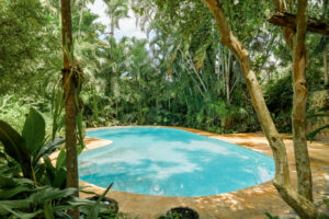 SERENE CHOLUL PARADISE