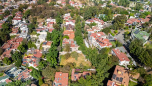 Terreno Bosque de Framboyanes