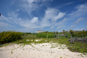 A BEACHFRONT, TRUE PIECE OF PARADISE