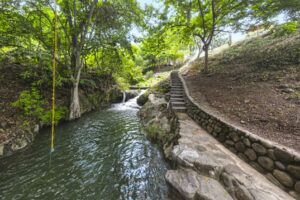 Ave del Risco, Colima