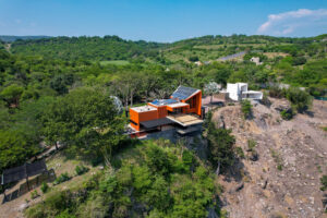 Ave del Risco, Colima
