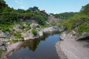 Ave del Risco, Colima