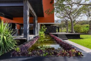 Ave del Risco, Colima