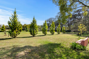 Rancho Los Muros