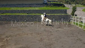 Rancho Acueducto Ajusco
