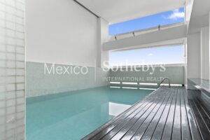 Punta del Parque