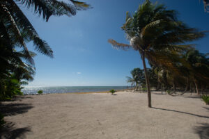 BEACHFRONT SANCTUARY OF PEACE