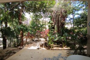 TULUM SERENITY RETREAT