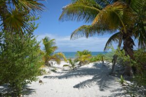 SEASIDE PARADISE