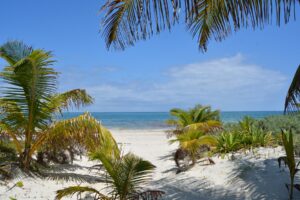 SEASIDE PARADISE