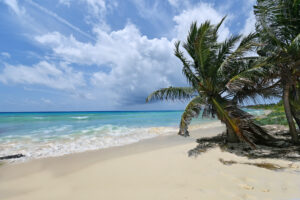 Beachfront Paradise