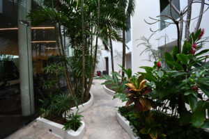 Elegant Sanctuary Between Jungle And Sea