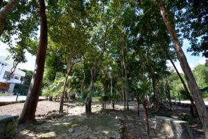 3 BEDROOM HOUSE IN A GATED COMMUNITY WITH A STYLE OF LIVING