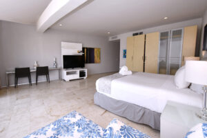 Downtown Oceanview Penthouse