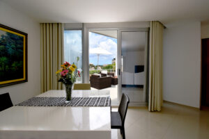 Downtown Oceanview Penthouse