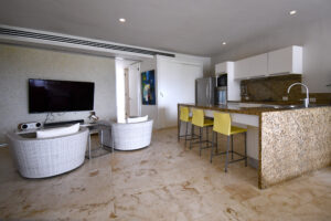 Downtown Oceanview Penthouse