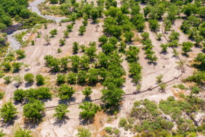 Exclusive Homesites Surrounded by Centenary Walnut Trees