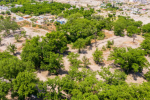 Exclusive Homesites Surrounded by Centenary Walnut Trees