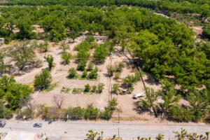 Exclusive Homesites Surrounded by Centenary Walnut Trees