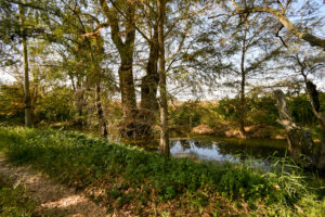Rancho Sabinal del Arroyo, Ixtlahuacán de los Membrillos en venta