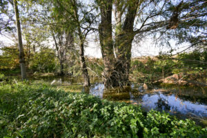 Rancho Sabinal del Arroyo, Ixtlahuacán de los Membrillos en venta
