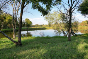 Rancho Sabinal del Arroyo, Ixtlahuacán de los Membrillos en venta