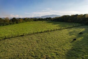 Rancho Sabinal del Arroyo, Ixtlahuacán de los Membrillos en venta