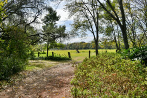 Rancho Sabinal del Arroyo, Ixtlahuacán de los Membrillos en venta