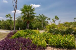 EXCLUSIVE CONTEMPORARY HOME IN YUCATÁN COUNTRY CLUB