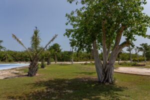 EXCLUSIVE CONTEMPORARY HOME IN YUCATÁN COUNTRY CLUB