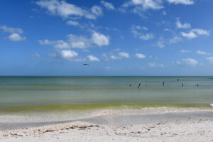 OCEAN VIEWS, LUXURY AND RETURNS