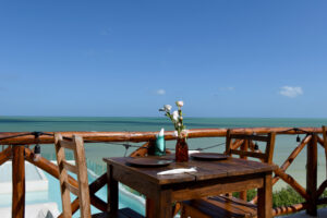 OCEAN VIEWS, LUXURY AND RETURNS