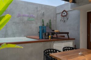 PANORAMIC PENTHOUSE WITH TERRACE AND PRIVATE PLUNGE POOL