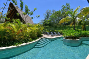 Black Essence of Contemporary Luxury