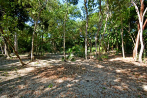 RESIDENTIAL LOT