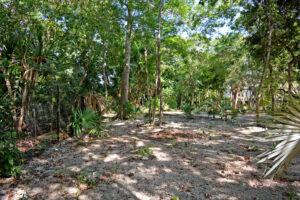 RESIDENTIAL LOT